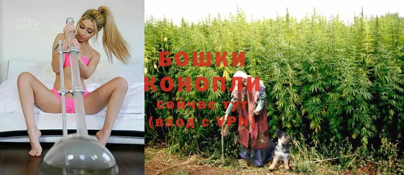 купить  сайты  Лысково  Бошки Шишки OG Kush 